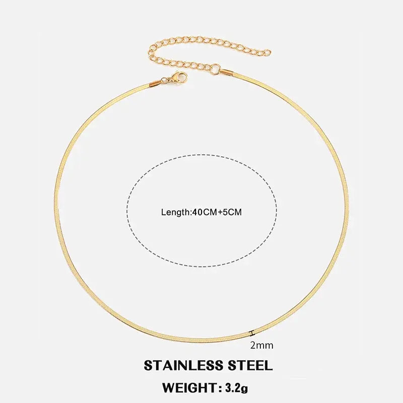 Flat Snake Chain Choker Miraelia jewelry&Accessories